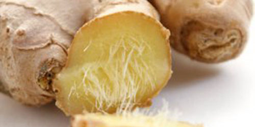 ginger2500x250 Ginger