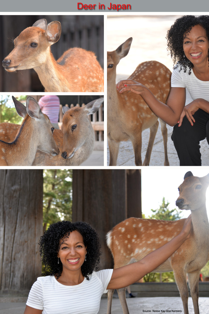 Teresa Kay-Aba Kennedy playing with Deer in Japan