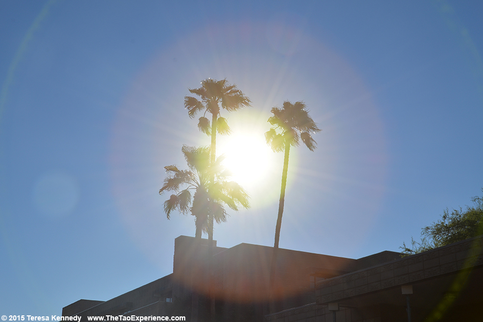 Arizona Biltmore Resort in Phoenix, Arizona - September 26, 2015